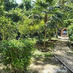 Mini Pini Bird Watching And Cenote Loft Villa Cozumel